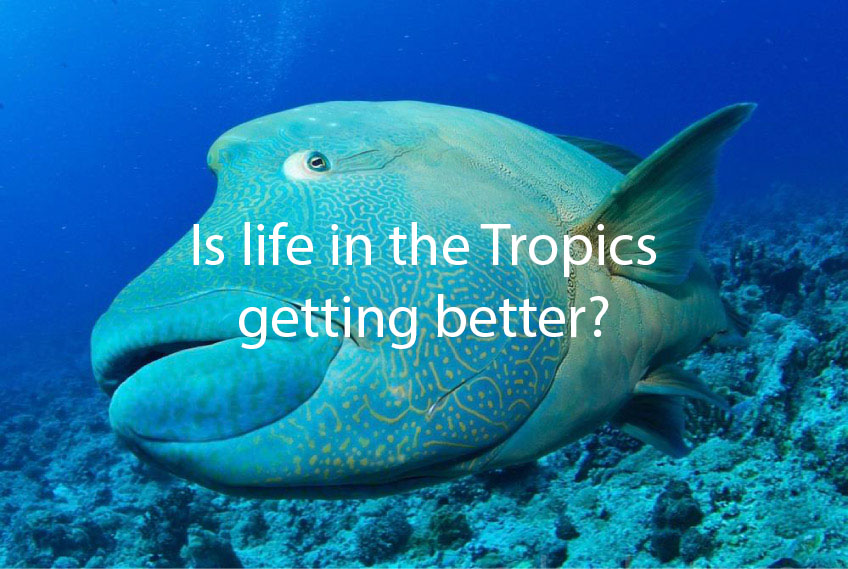 图片上是一只摩阿利隆鱼，上面写着“热带的生活越来越好了吗?