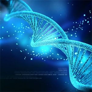 生物素蛋白连接酶作为蛋白质:DNA连接系统图片