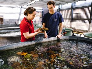 海洋生物学的学生们正在处理珊瑚