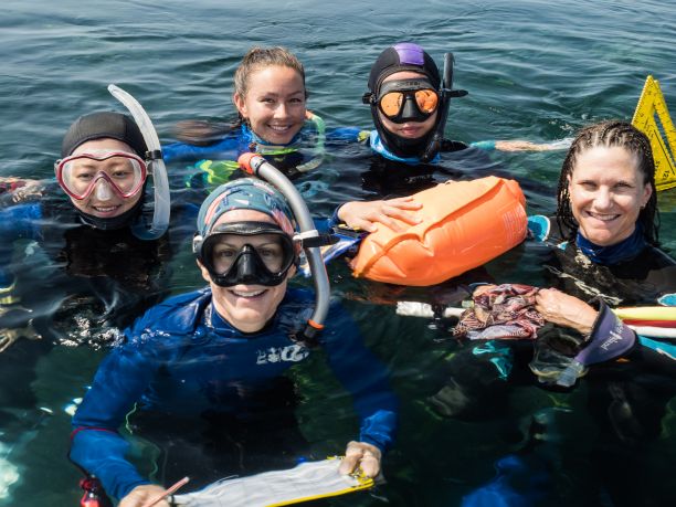 凯蒂和其他一些科学家在水里，准备开始潜水收集数据。