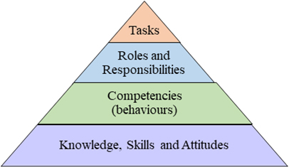 管理能力发展金字塔
