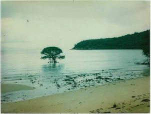 在1978年3月的俄耳甫斯岛